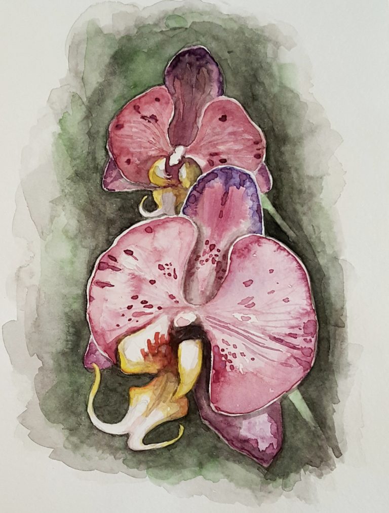 Orchids found in Singapore Botanical Gardens - Watercolour in Moleskine sketchbook