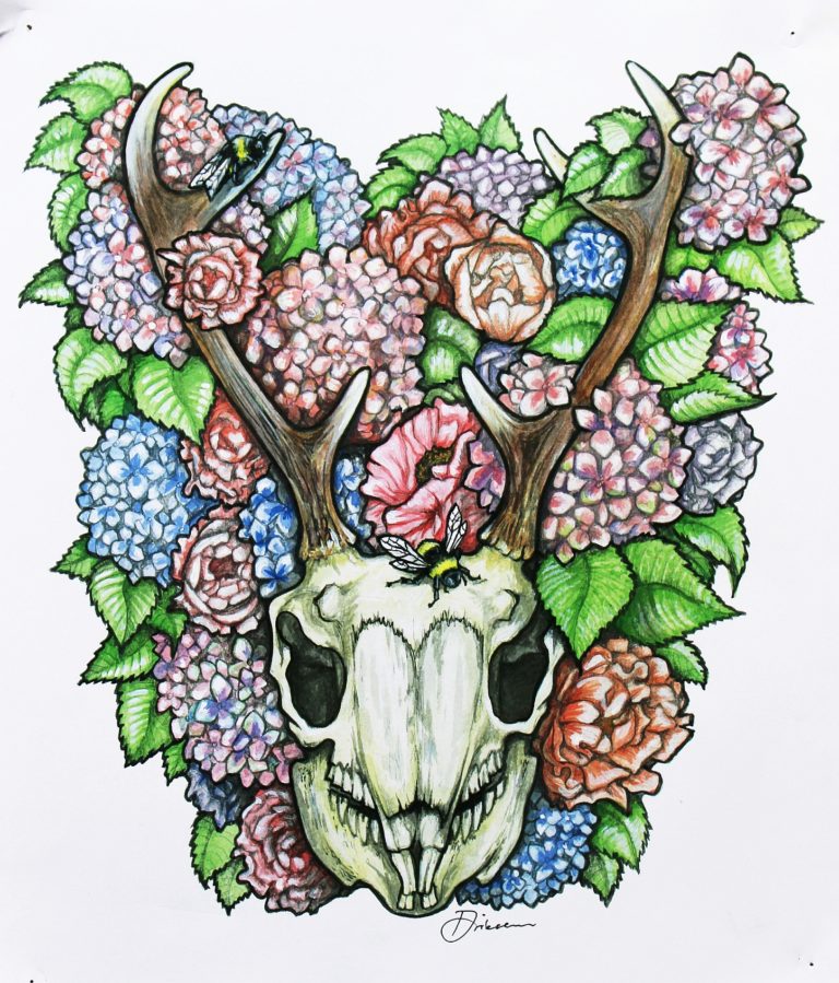 A commission based on a Jackalope skull - Watercolour pencils and mixed media on paper