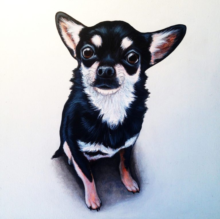 Commissioned pet portrait - Acrylic paint on wood board